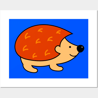Hedgehog for Kids, Men and Women Posters and Art